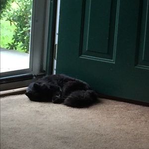 Meet your Posher, Michele